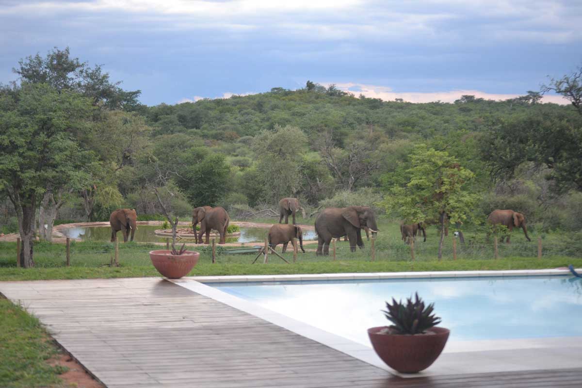 Tshivhula Game Farm Image