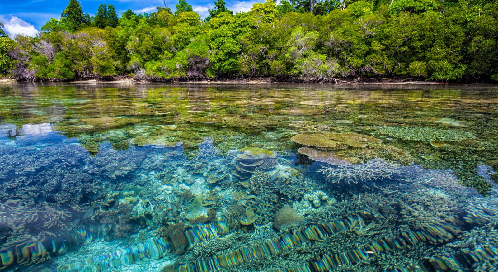 Mainstreaming Biodiversity